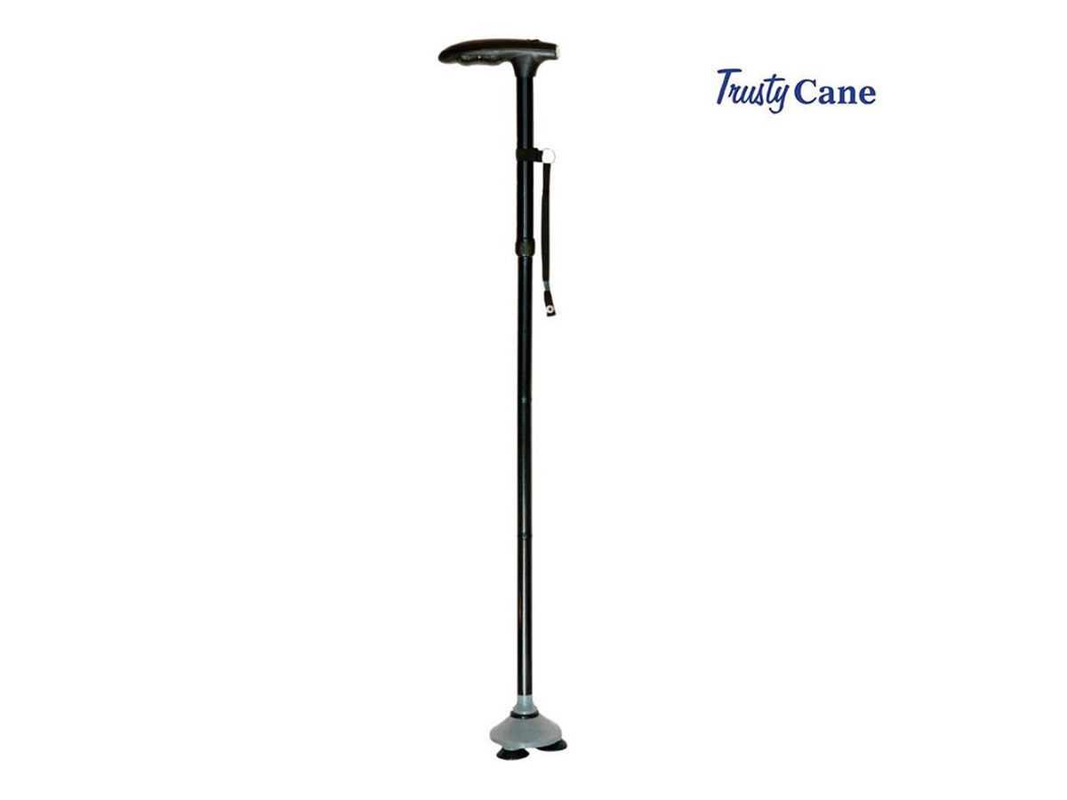 trusty-cane-01 trusty-cane-01